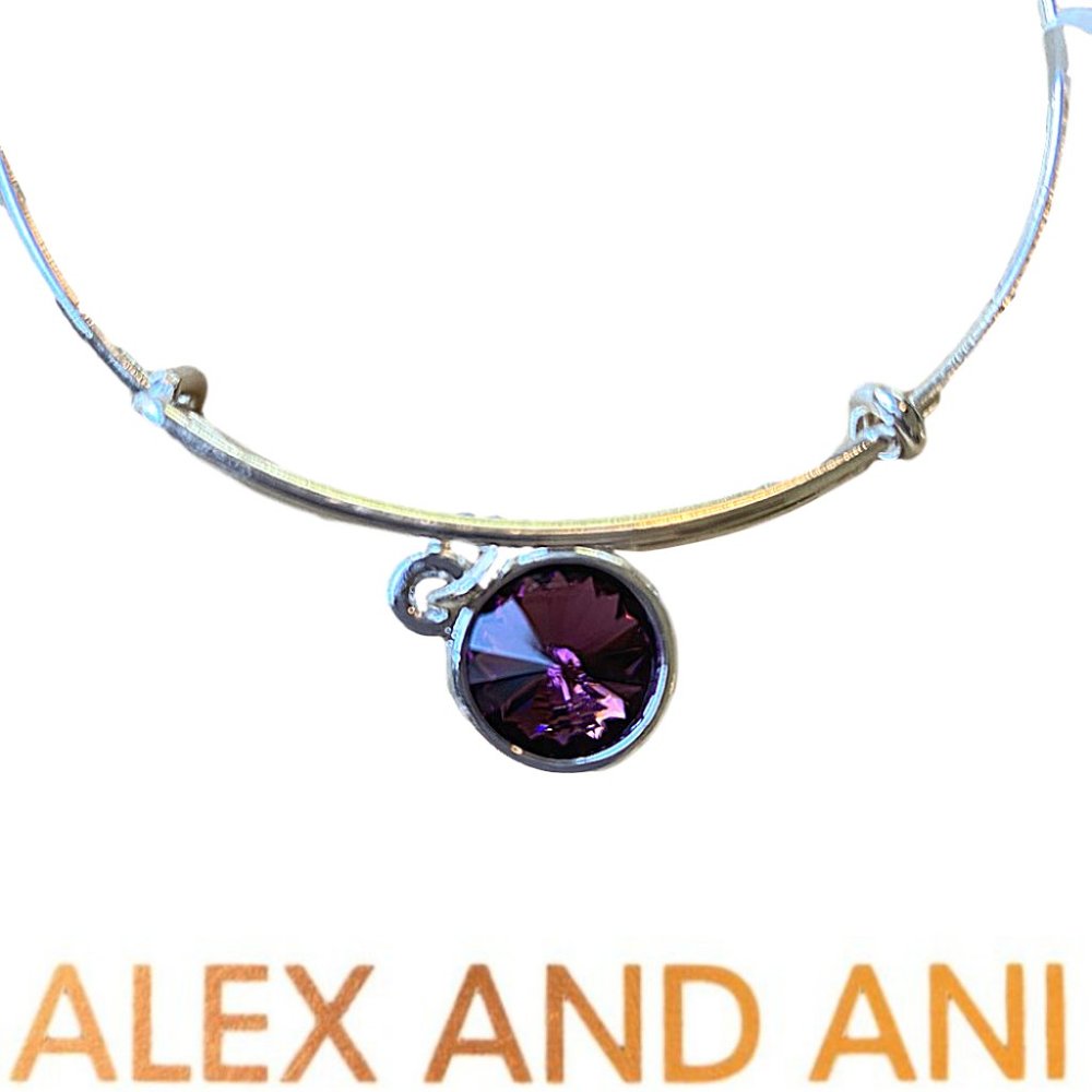 Alex and Ani Amethyst Birthstone Bangle Feb  NEW